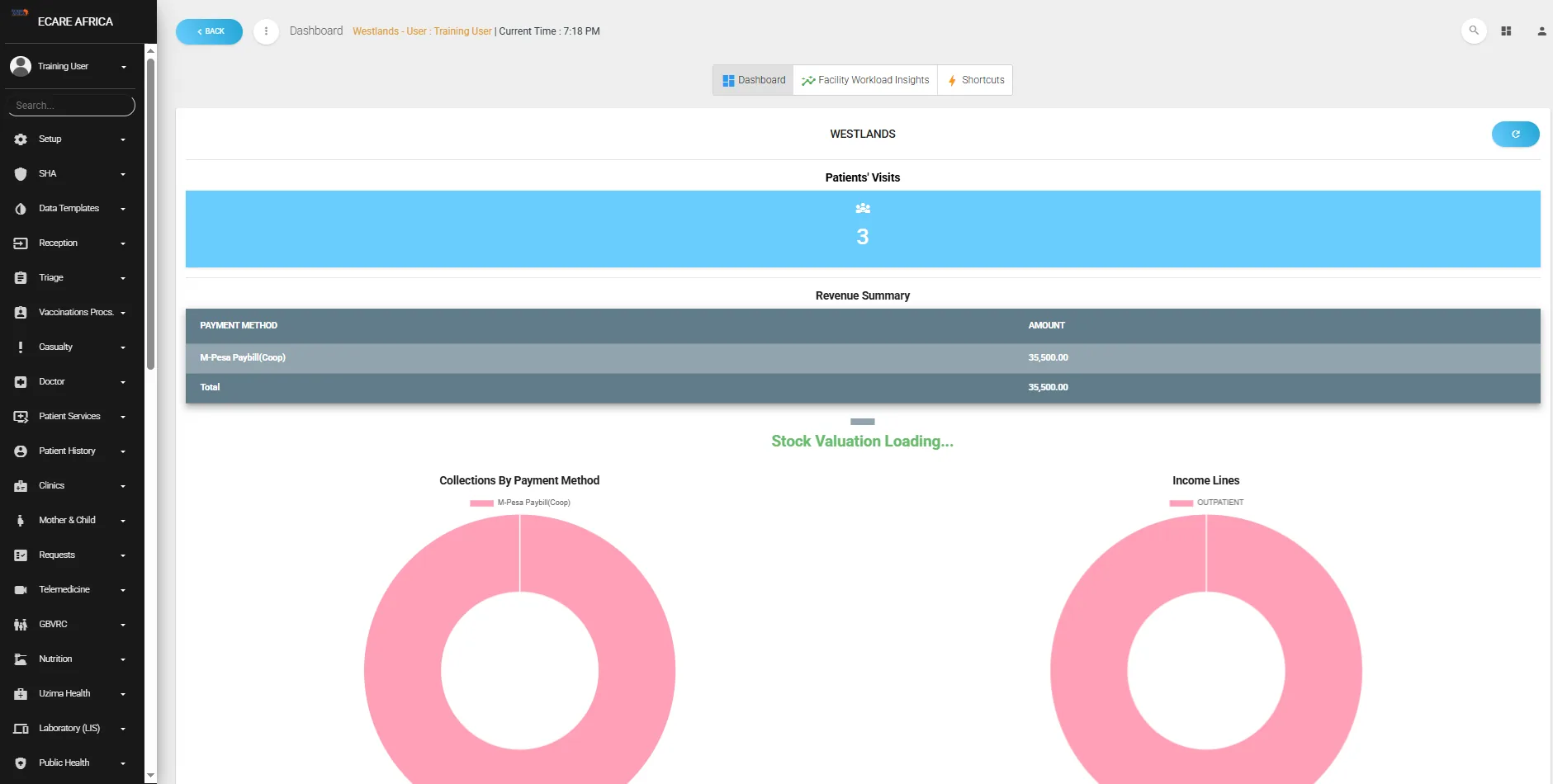 Ecare HMIS facility dashboard showing patient visits and revenue summary